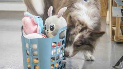 Zdjęcie od Karolina Gruszka