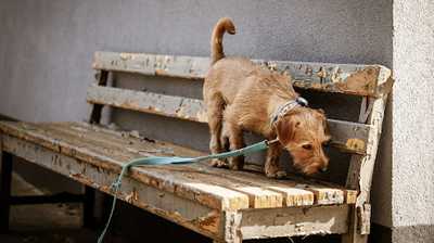 Zdjęcie od Klaudia Pyrek