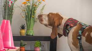 Zdjęcie od Aleksandra Więcek